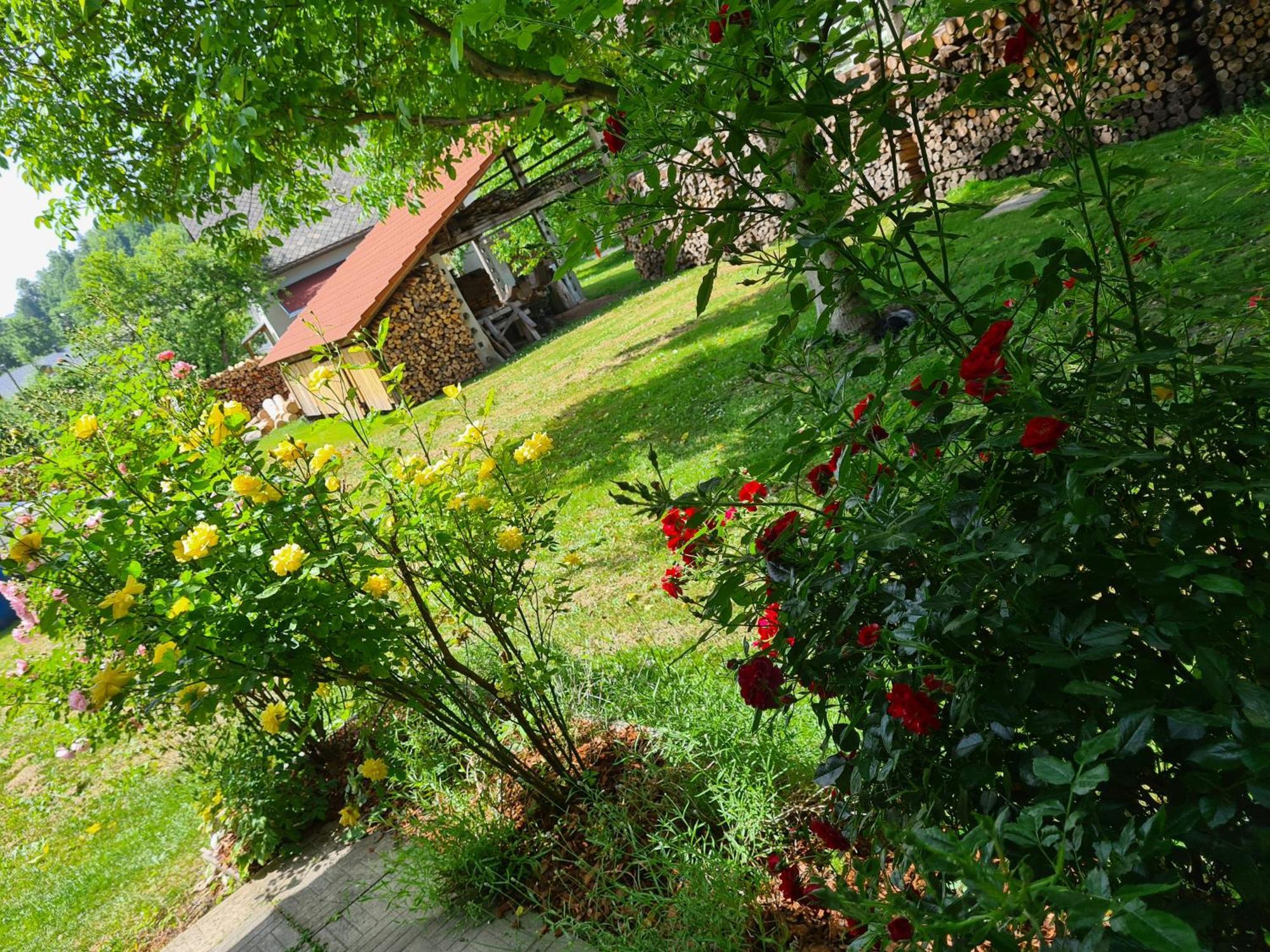 Bed and Breakfast Gostilna Batist Богиньська Бела Екстер'єр фото